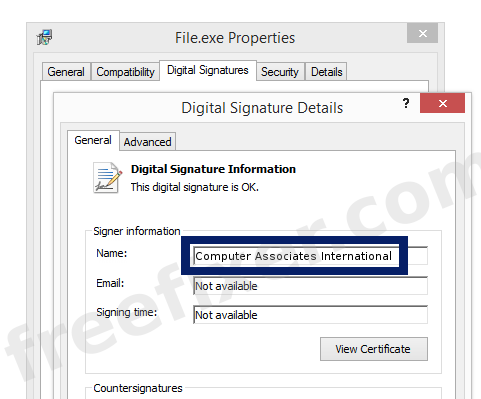 Screenshot of the Computer Associates International certificate